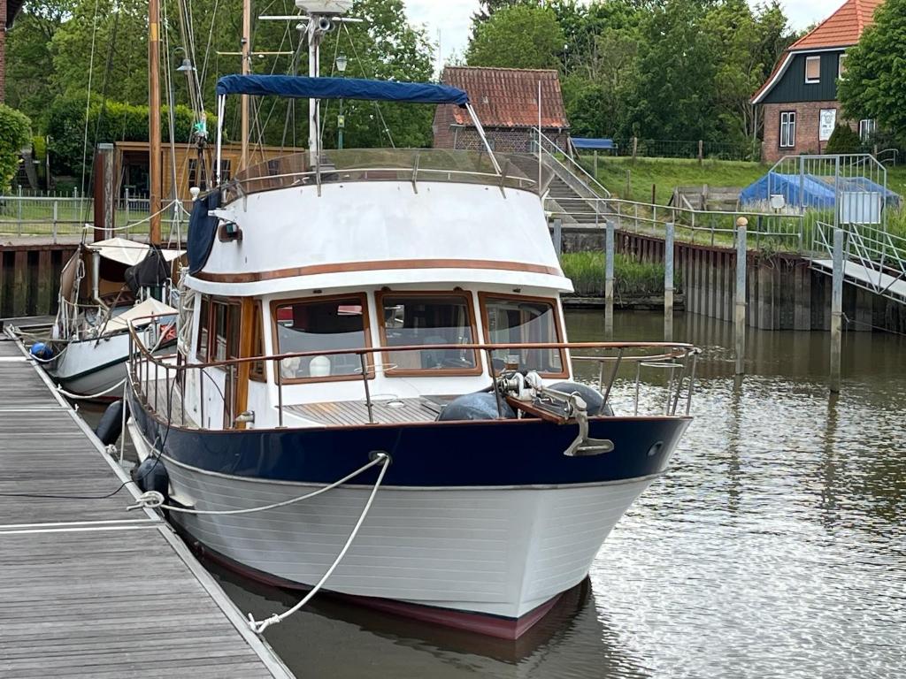 Seewolf im Altenbrucher Hafen